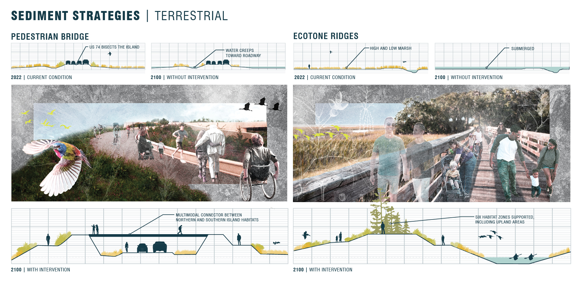 Sediment Strategies: Terrestrial